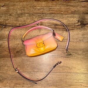 Coach pillow tabby 18